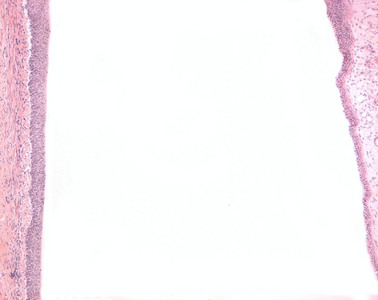 [Bild]